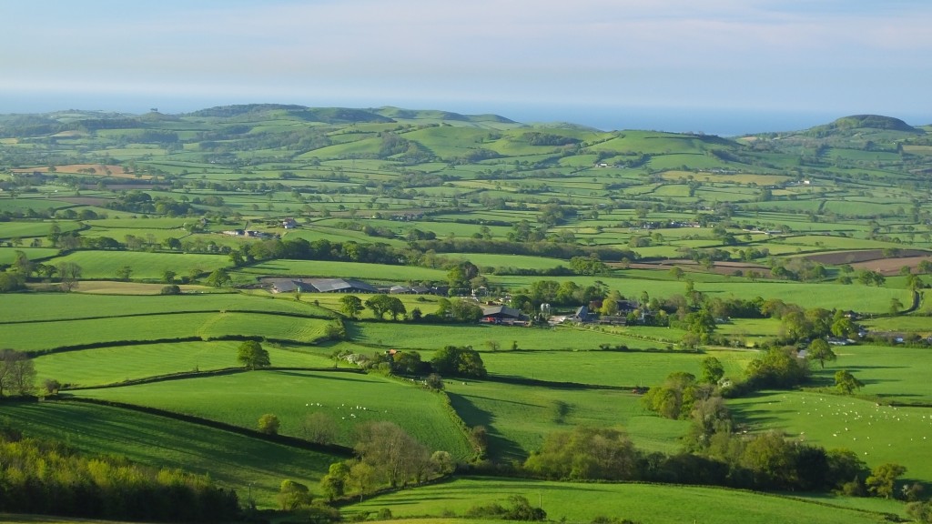 Pilsdon Dairy Farm nestled in the Marshwood Vale - winner of our Large Dairy Farm category.